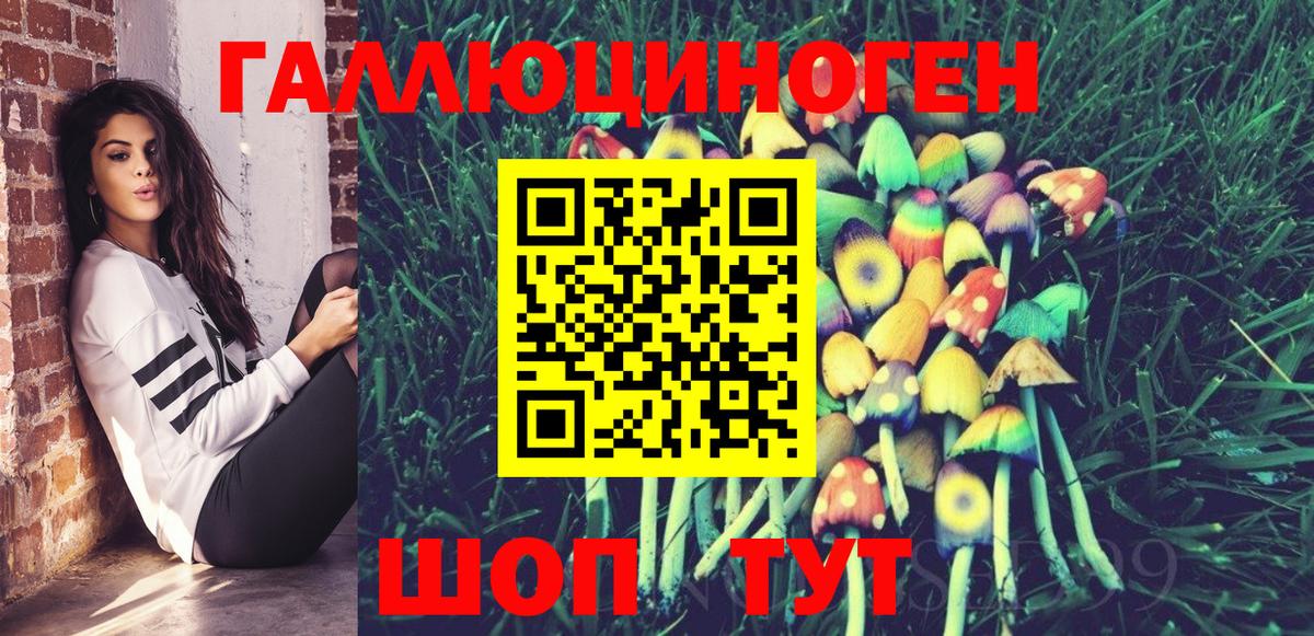 Галлюциногенные грибы Psilocybine cubensis Сочи